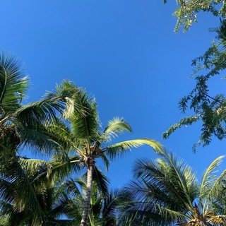 SMM для ТУРАГЕНТОВ