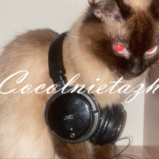 Цокольный этаж