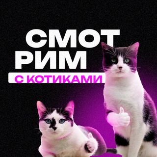 СМОТРИМ С КОТИКАМИ🍿 фильмы, сериалы, аниме, дорамы, что посмотреть