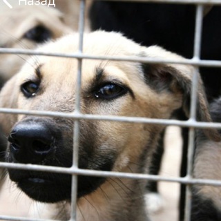 Добрые дела