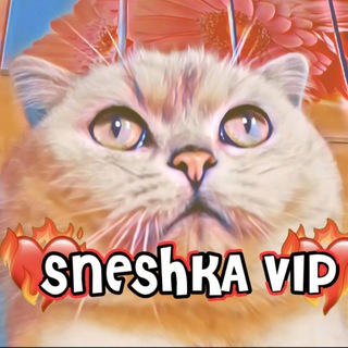 ❤️‍🔥𝚂𝙽𝙴𝚂𝙷𝙺𝙰 𝚅𝙸𝙿❤️‍🔥