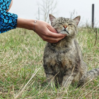 Снимки из глубинки