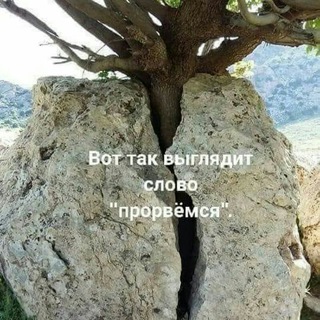 Нас лишают жилья!