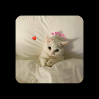 Самый Добрый Канал