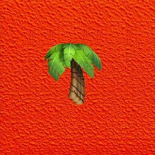 Каравелла Португалии, Аллея Парк, инвестиции