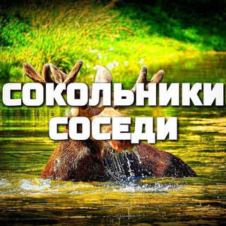 Сокольники Соседи