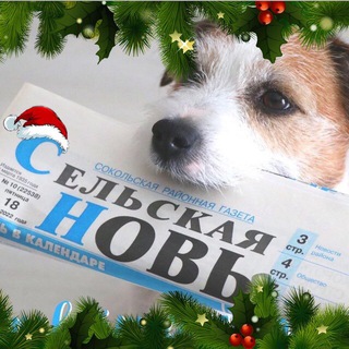 Первый Сокольский