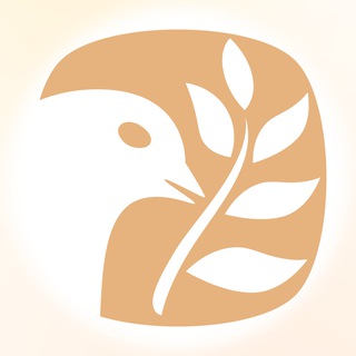 Центр медиации “Solis”