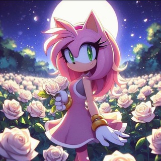 🌺⊹˚𝕾𝖔𝖓𝖎𝖈 𝖀𝖓𝖎𝖛𝖊𝖗𝖘𝖊₊˚⋆🏵️