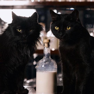 𝑀𝒶𝒹𝓇𝒾𝓃𝒶