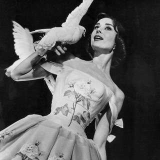 сон в весеннее утро