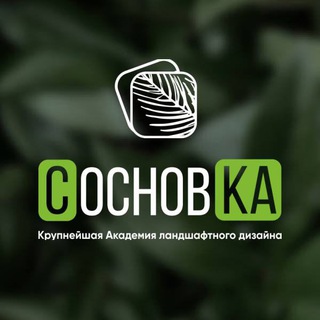 Школа СосновКа🌳