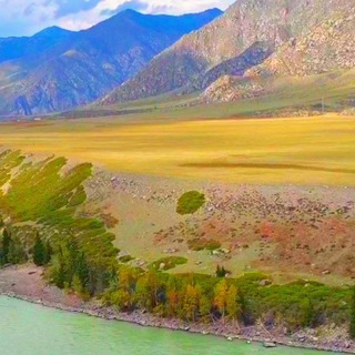 Забавные животные и красивая природа