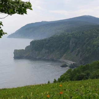 СОВГАВАНЬ.PФ