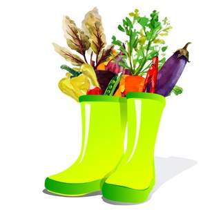 Современная дача