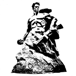 Волонтеры (Санкт-Петербург)