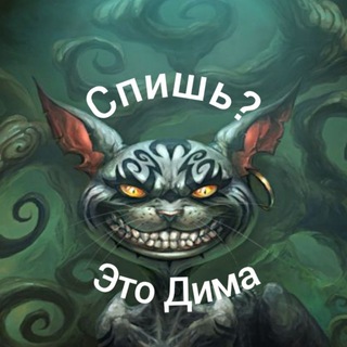 Спишь? Это Дима