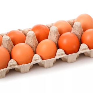 ДЕСЯТОК ЯИЦ