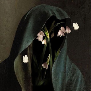 записи саляфита.