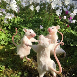 подвальные тянки 😈