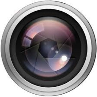 Дневник веб-модели