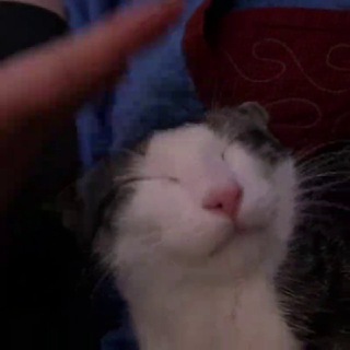 Фотки из жизни