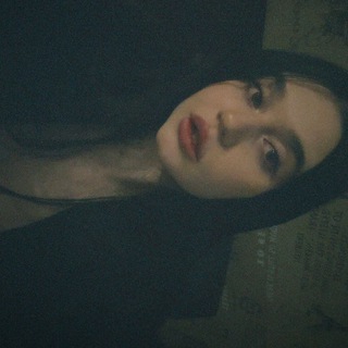 фан-клуб вельгем