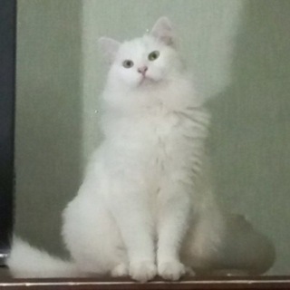 душевная близость