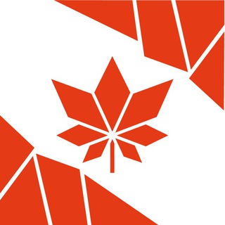 never tried maple syrup 🍂