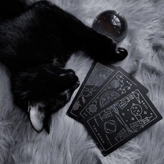 бс от wixilad🦇