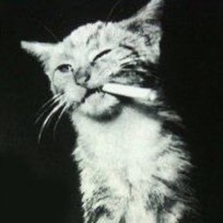 чикенаг мама