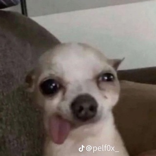 Бла бла бла