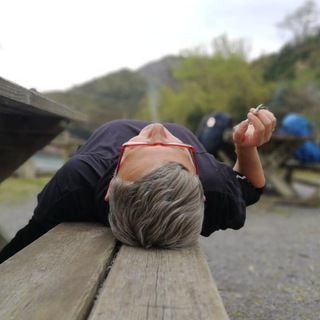 стеснительный ленивец