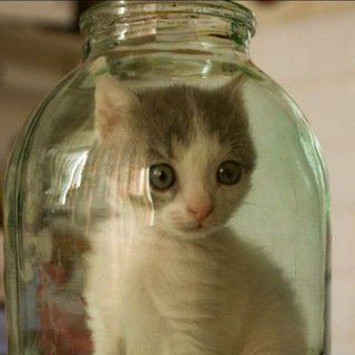 За что меня забанили у Машковой?