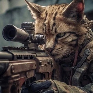 Заметки Бухгалтера