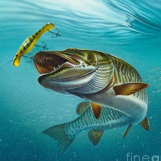 Записки рыбака