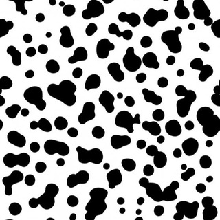 Незапятнанная