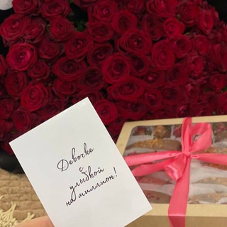 𝒔𝒂𝒏 𝒅𝒐𝒈