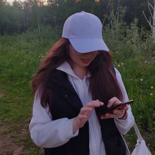 светек щитпостит