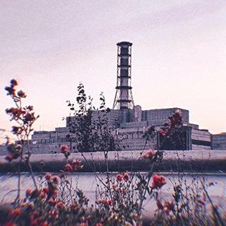 𝐒.𝐓.𝐀.𝐋.𝐊.𝐄.𝐑 - ЧЗО