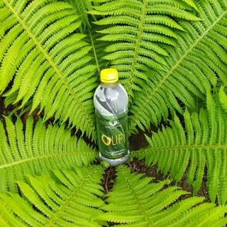 🌸Олайф - экстракт долголетия🌸