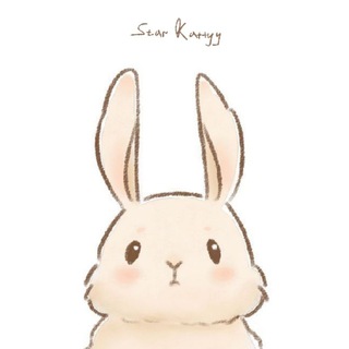 • 𝐏𝐫𝐨𝐨𝐟𝐬 𝐒𝐭𝐚𝐫𝐊𝐚𝐭𝐭𝐲 ♡