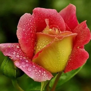 Stasya motivation / Аффирмации