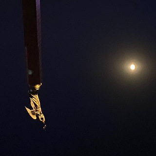 А вы со Ставрополя?