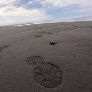 Сахалин, который вижу я