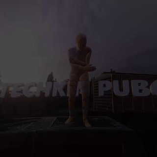 STECHKIN PUBG