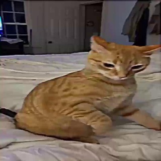 Читы на стендоф 2