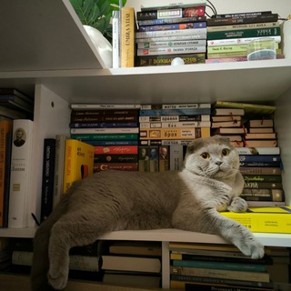 Союз Книжкових Республік