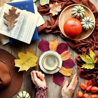 СТИХОграмм