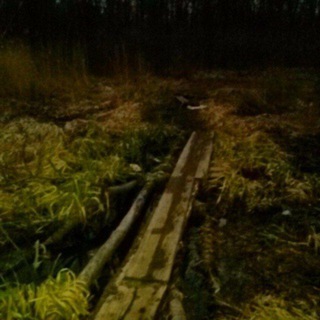 Липкое чёрное болото.